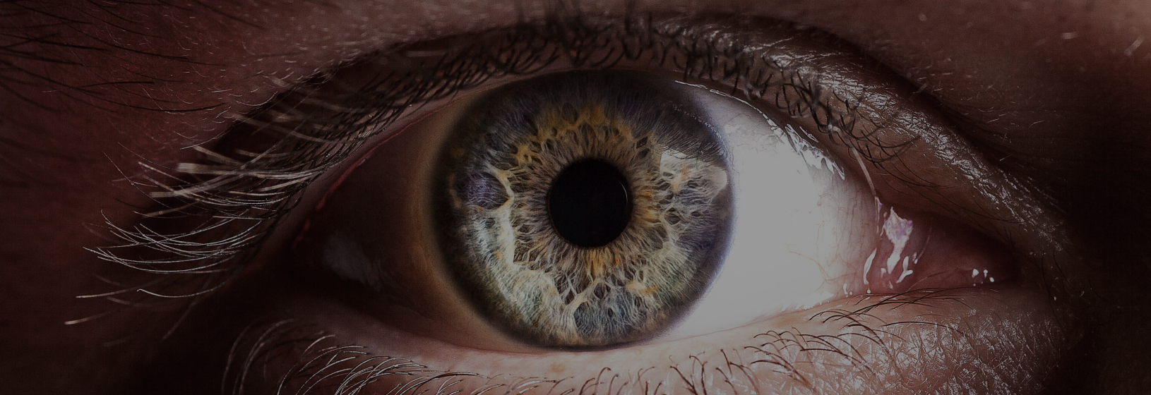 Самые интересные факты о зрении