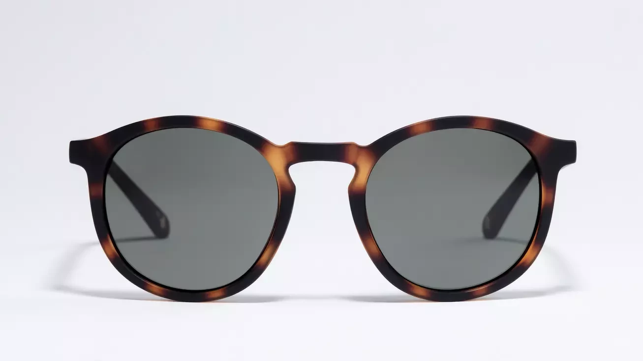 Солнцезащитные очки TED BAKER TB1452 173