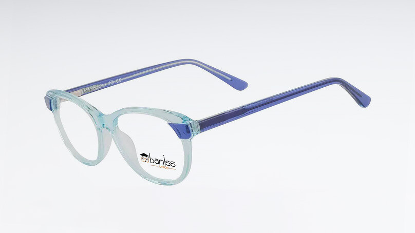 Оправа BANISS BS7100 С01