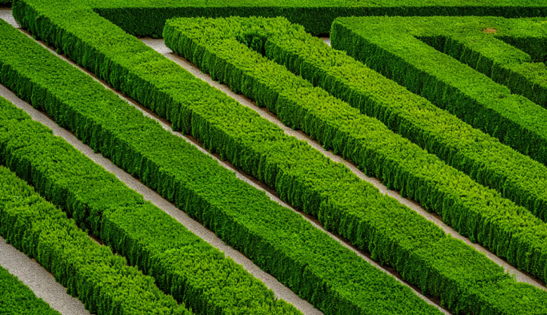 Самые удивительные лабиринты