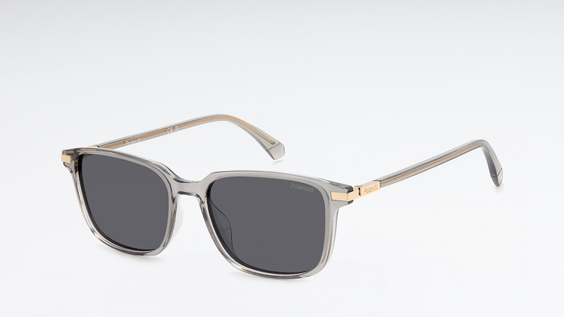 Солнцезащитные очки POLAROID PLD 4169/G/S/X 690