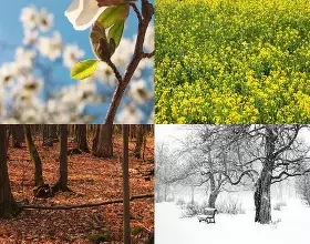 Универсальные солнцезащитные очки: носим круглый год