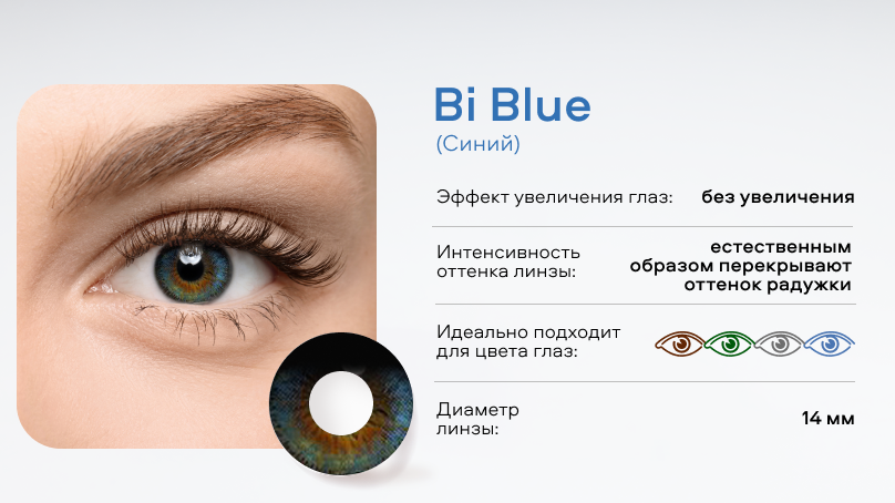 Цветные линзы Amore (2 шт.)