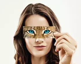 RUPP+HUBRACH – премиальное немецкое качество