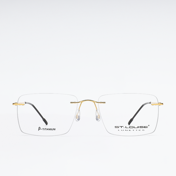 Оправа ST.LOUISE ST2709 C02
