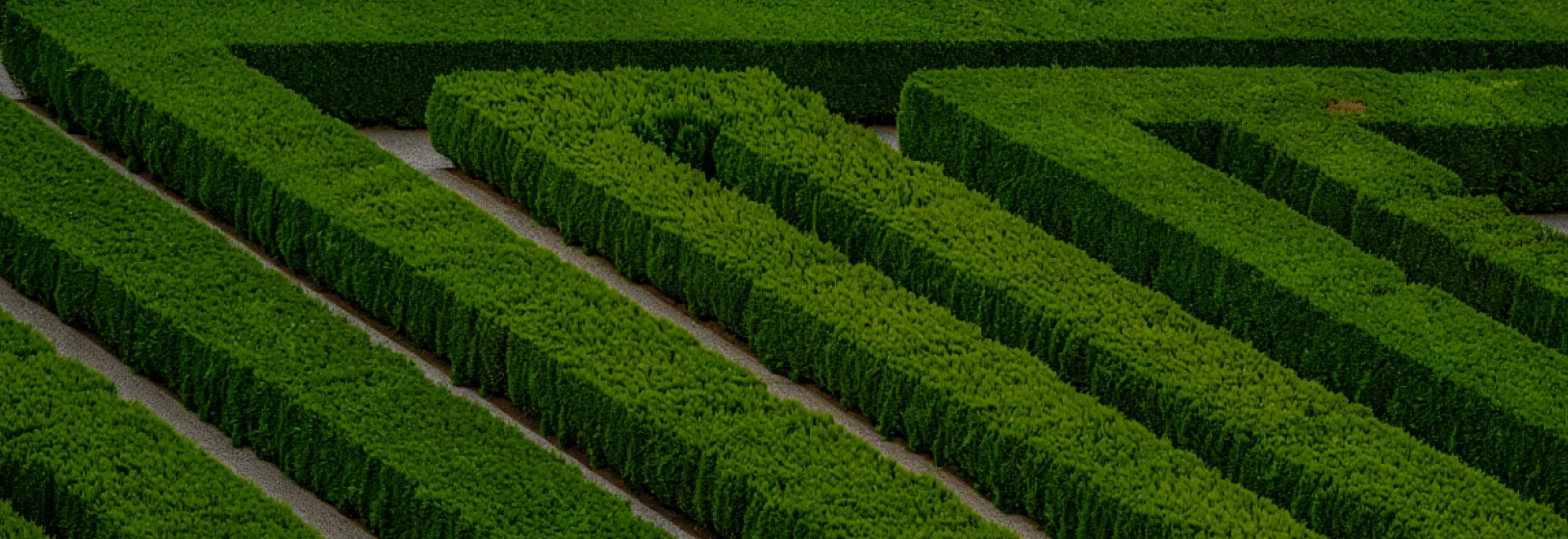 Самые удивительные лабиринты