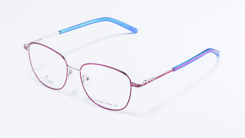 Оправа EYE VISION 2005 C1