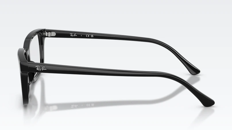 Оправа Ray Ban 0RX5445 2000