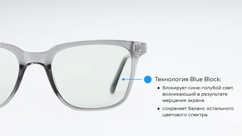 Очки для компьютера Tempo 9005 С02