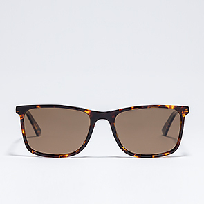 Солнцезащитные очки Trendy TDS0014 TORTOISE